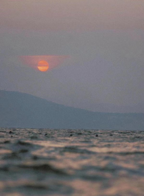 配资实盘开户 23天、15板、3倍，并购预期推动股价暴涨，中百集团否认了