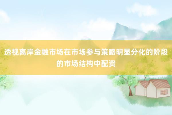 透视离岸金融市场在市场参与策略明显分化的阶段的市场结构中配资