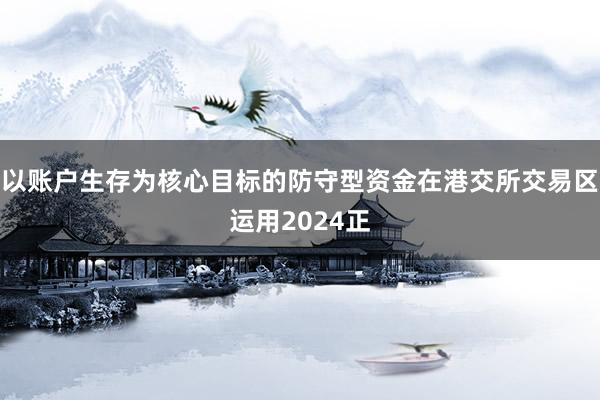 以账户生存为核心目标的防守型资金在港交所交易区运用2024正