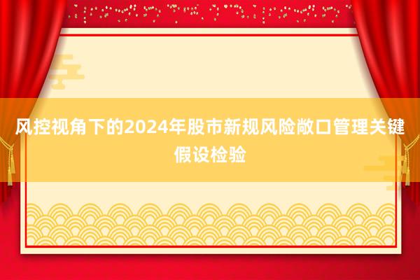 风控视角下的2024年股市新规风险敞口管理关键假设检验