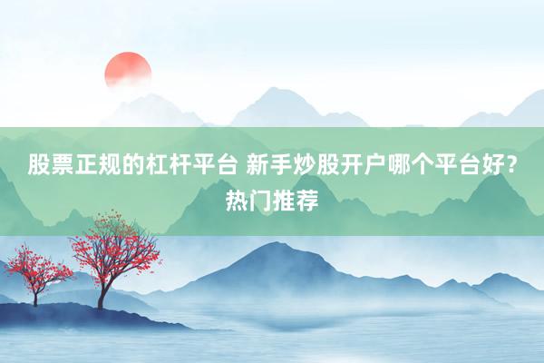 股票正规的杠杆平台 新手炒股开户哪个平台好？热门推荐