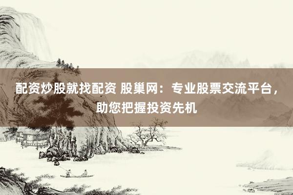 配资炒股就找配资 股巢网：专业股票交流平台，助您把握投资先机