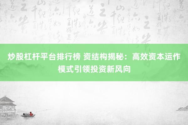 炒股杠杆平台排行榜 资结构揭秘：高效资本运作模式引领投资新风向