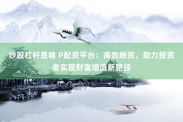 炒股杠杆是啥 P配资平台：高效融资，助力投资者实现财富增值新路径
