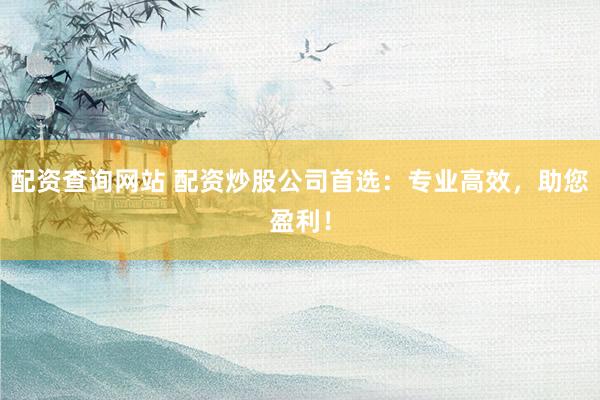 配资查询网站 配资炒股公司首选：专业高效，助您盈利！